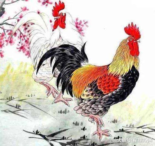 一道旭光分两地鸡啼鼠走四十六是什么生肖请全面2释义、解释与落实、前沿解答解释落实