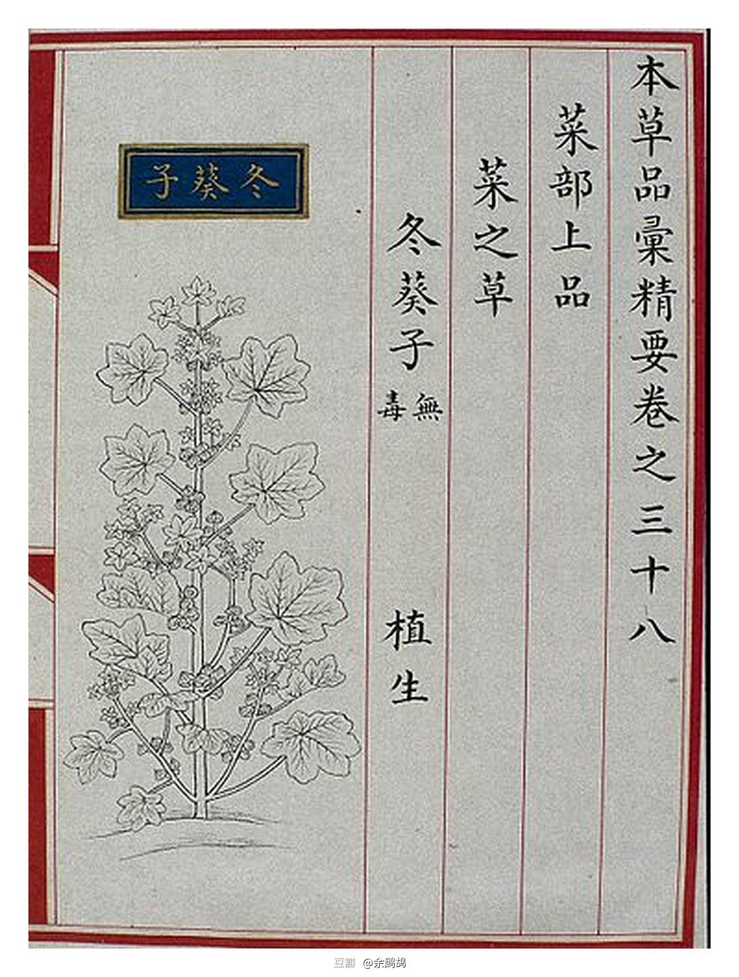 緬懷過去往昔浮華言語重點善摸抓打一个准确生肖详细解答、解释与落实、科学解答解释落实