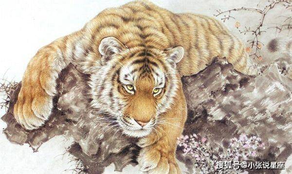 緬懷過去往昔浮華言語重點善摸抓打一个准确生肖全面释义、详细解答解释落实