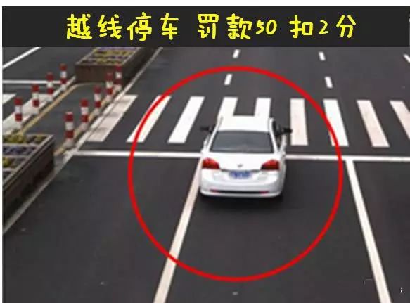 十字路口易迷失，误入歧途无所得打一个准确生肖，详细解答、实时解答解释落实