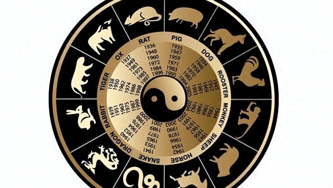 十字路口易迷失，误入歧途无所得打一个准确生肖,警惕虚假宣传落实,实证解答解释落实