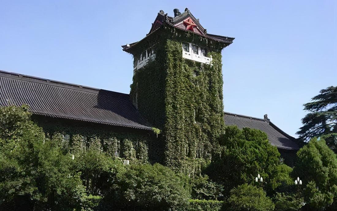 狗头军师打一准确生肖,警惕虚假宣传落实,时代解答解释落实